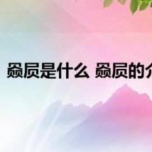 赑屃是什么 赑屃的介绍