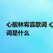 心酸林宥嘉歌词 心酸歌词是什么