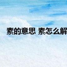 素的意思 素怎么解释