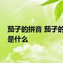 茄子的拼音 茄子的拼音是什么