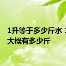 1升等于多少斤水 1升水大概有多少斤