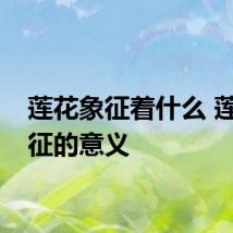 莲花象征着什么 莲花象征的意义