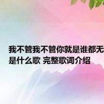 我不管我不管你就是谁都无法替代是什么歌 完整歌词介绍