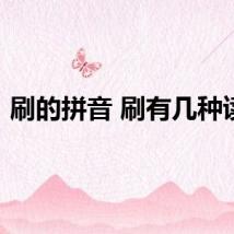 刷的拼音 刷有几种读音