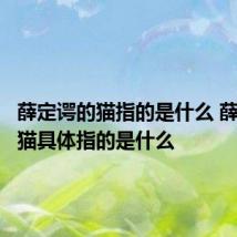 薛定谔的猫指的是什么 薛定谔的猫具体指的是什么