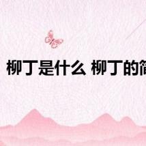 柳丁是什么 柳丁的简介