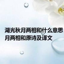 湖光秋月两相和什么意思 湖光秋月两相和原诗及译文