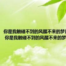 你是我触碰不到的风醒不来的梦是什么歌 你是我触碰不到的风醒不来的梦歌名