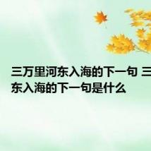 三万里河东入海的下一句 三万里河东入海的下一句是什么