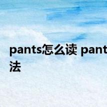 pants怎么读 pants的读法