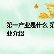 第一产业是什么 第一产业介绍