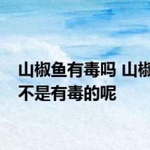 山椒鱼有毒吗 山椒鱼是不是有毒的呢