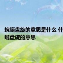 蜿蜒盘旋的意思是什么 什么是蜿蜒盘旋的意思