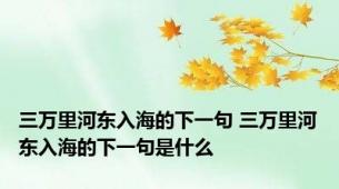 三万里河东入海的下一句 三万里河东入海的下一句是什么