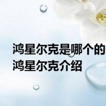 鸿星尔克是哪个的品牌 鸿星尔克介绍
