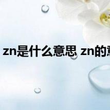 zn是什么意思 zn的意思