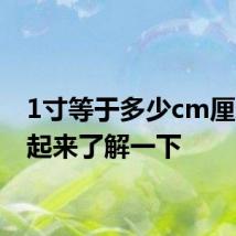 1寸等于多少cm厘米 一起来了解一下