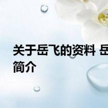 关于岳飞的资料 岳飞的简介