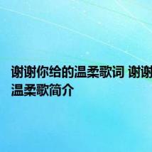 谢谢你给的温柔歌词 谢谢你给的温柔歌简介