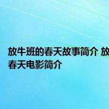 放牛班的春天故事简介 放牛班的春天电影简介