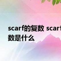 scarf的复数 scarf的复数是什么