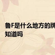 鲁F是什么地方的牌照 你知道吗