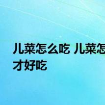 儿菜怎么吃 儿菜怎么做才好吃
