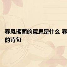 春风拂面的意思是什么 春风拂面的诗句