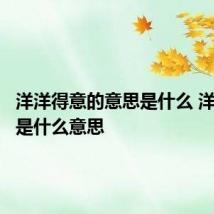 洋洋得意的意思是什么 洋洋得意是什么意思