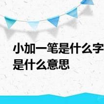 小加一笔是什么字 分别是什么意思