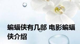 蝙蝠侠有几部 电影蝙蝠侠介绍