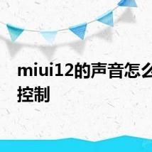 miui12的声音怎么分类控制