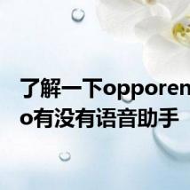 了解一下opporeno4pro有没有语音助手