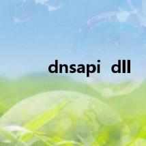 dnsapi  dll