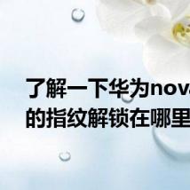 了解一下华为nova7se的指纹解锁在哪里