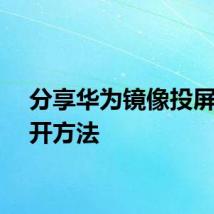 分享华为镜像投屏的打开方法