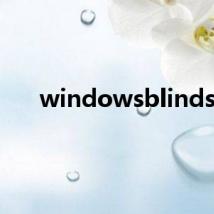windowsblinds