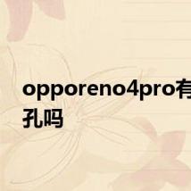 opporeno4pro有耳机孔吗