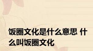 饭圈文化是什么意思 什么叫饭圈文化
