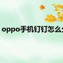 oppo手机钉钉怎么分屏