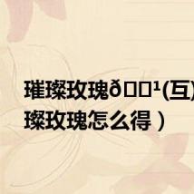 璀璨玫瑰