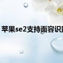 苹果se2支持面容识别吗