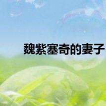 魏紫塞奇的妻子