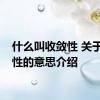 什么叫收敛性 关于收敛性的意思介绍