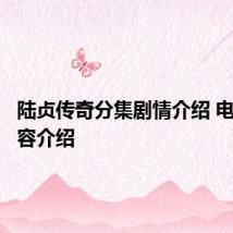 陆贞传奇分集剧情介绍 电视剧内容介绍