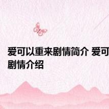 爱可以重来剧情简介 爱可以重来剧情介绍