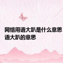 网络用语大趴是什么意思 网络用语大趴的意思