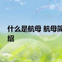 什么是航母 航母简单介绍
