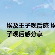 埃及王子观后感 埃及王子观后感分享