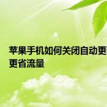 苹果手机如何关闭自动更新省电更省流量